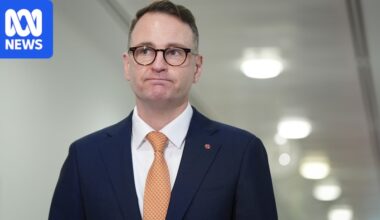 Senator Andrew Bragg defies Liberal president Tony Abbott's 'failed' multiculturalism claim