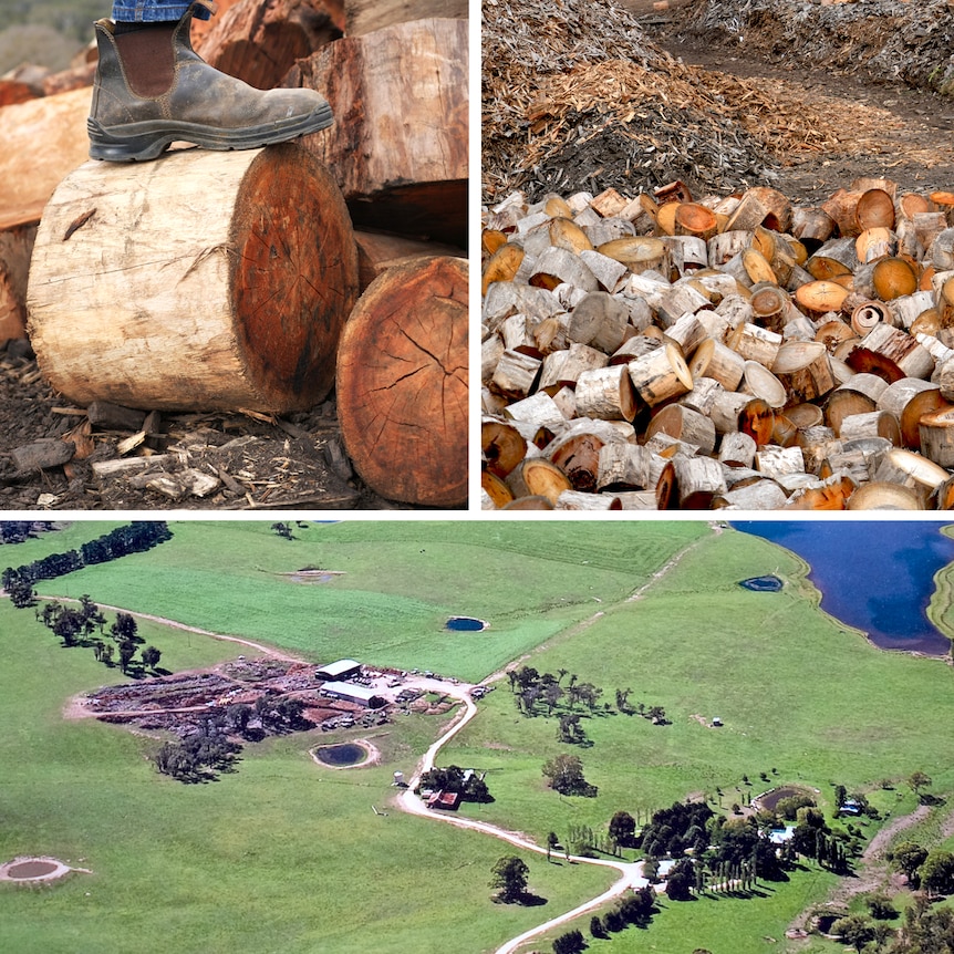 A composite image of firewood and an aerial shot of a farm.