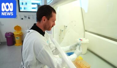 Sunshine Coast researchers collect human tissue for biobank to study bowel cancer in young people