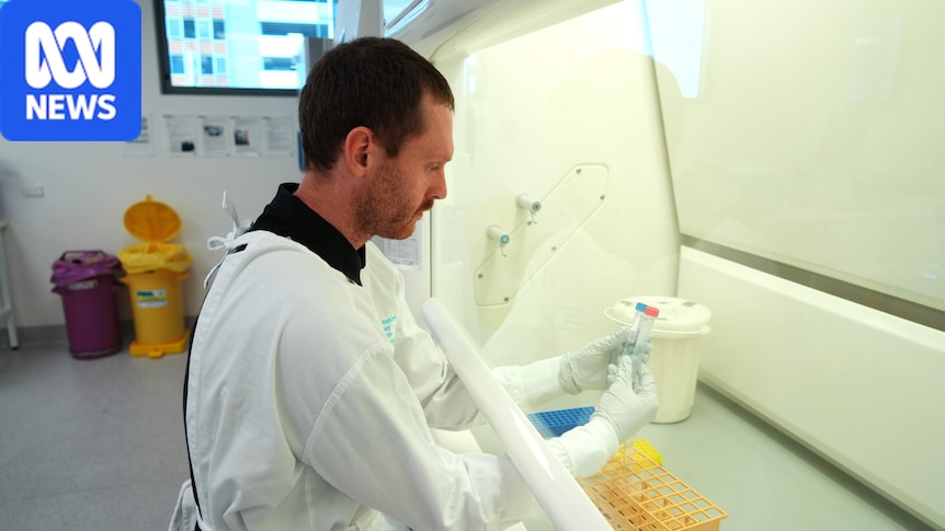 Sunshine Coast researchers collect human tissue for biobank to study bowel cancer in young people