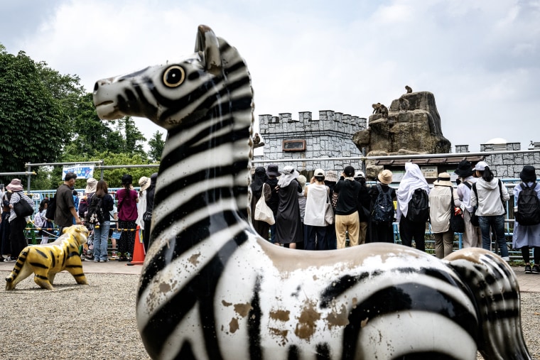 A weathered replica zebra in front of a crowd of people facing a zoo enclosure.