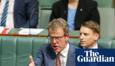 Liberal frontbencher Dan Tehan says coalition with One Nation ‘not even being talked about’ | Liberal party