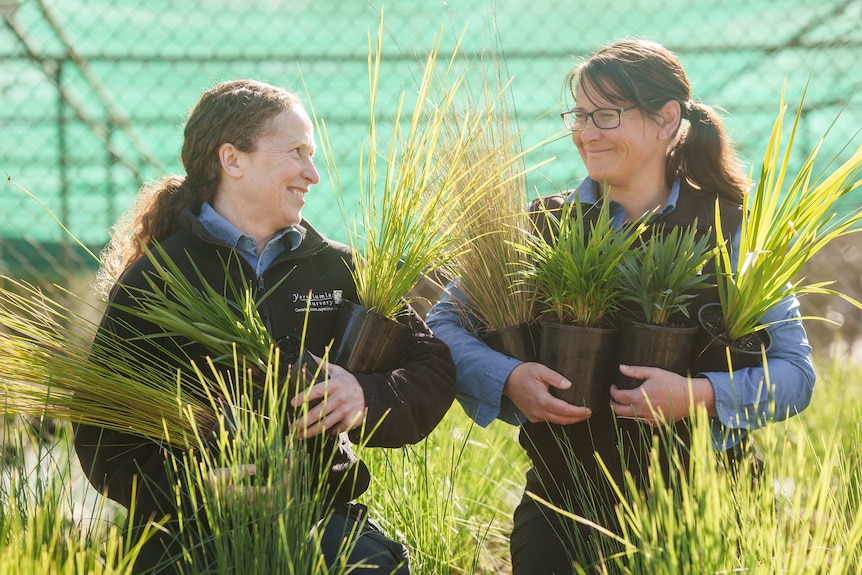 Two smiling women kneeling in a garden in gardening attire and holding potted grasses in their arms.