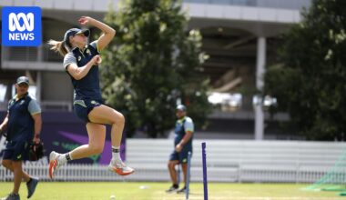 Australians cagey on Ellyse Perry injury ahead of women's T20 World Cup final