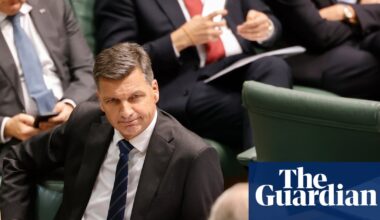 Guardian Essential poll: Angus Taylor’s approval rating crashes and One Nation support plateaus | Essential poll