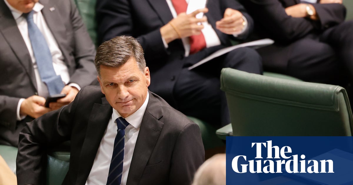 Guardian Essential poll: Angus Taylor’s approval rating crashes and One Nation support plateaus | Essential poll