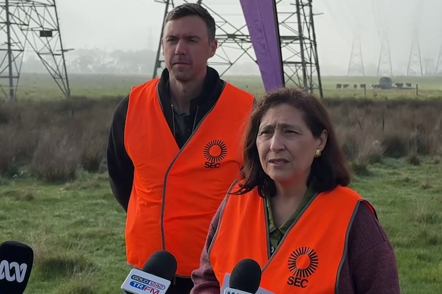 Dark-haired men stand either side of a dark-haired woman in a field near power transmission towers.