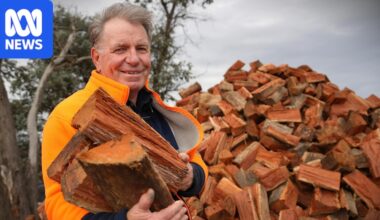 Farmer Peter Chauncy's firewood side hustle fuels petrol station success