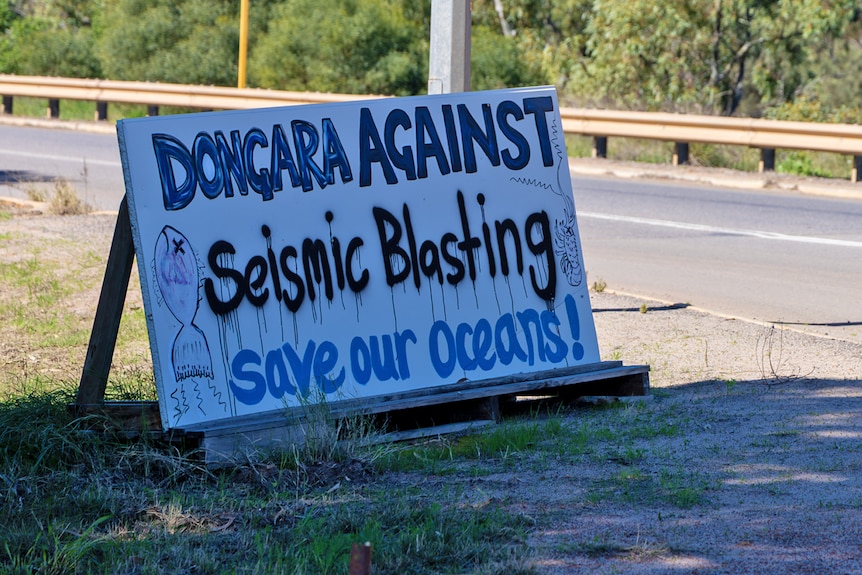 A spray painted protest sign on the side of the road that reads, 'Dongara against seismic blasting, save our oceans.'
