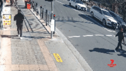They were crossing with other pedestrians when they were hit. 