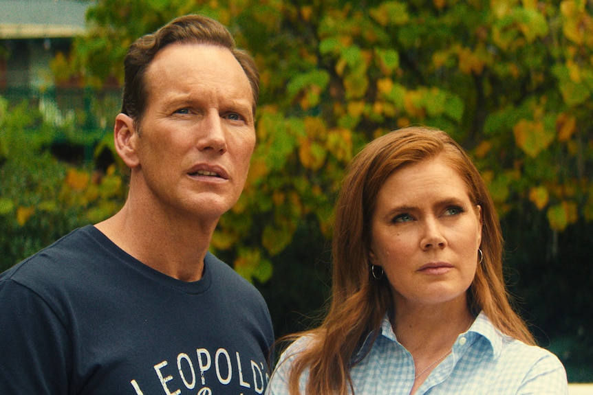 A TV still of Patrick Wilson, 53, and Amy Adams, 51, stand together in a garden, looking ill at ease.