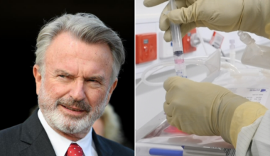 Cancer treatment CAR-T that gave Hollywood star Sam Neill hope could soon help millions