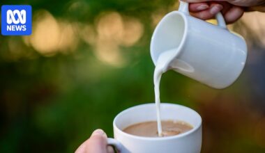 Lactalis fined by ACCC for misleading consumers about freshness of milk