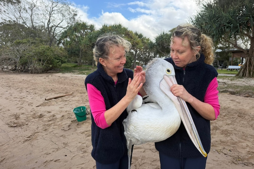 Twinnies with pelican
