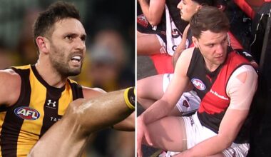 AFL results 2026, Hawthorn Hawks vs Essendon Bombers Round 20