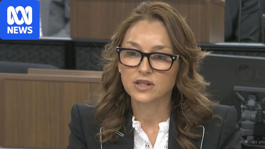 Jean Nassif allegedly wanted to use Perrottet brothers to influence government decisions, ICAC hears