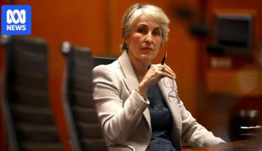 Report suggesting DPP Sally Dowling be removed over media leak condemned by attorney-general