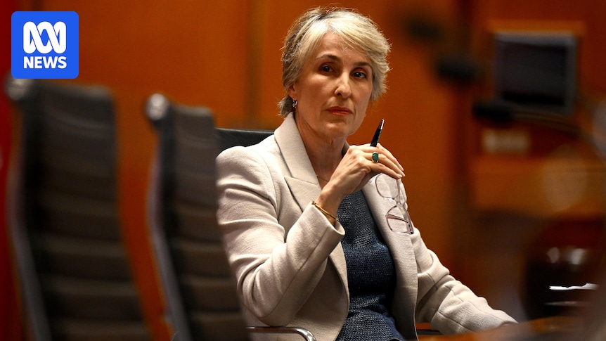Report suggesting DPP Sally Dowling be removed over media leak condemned by attorney-general