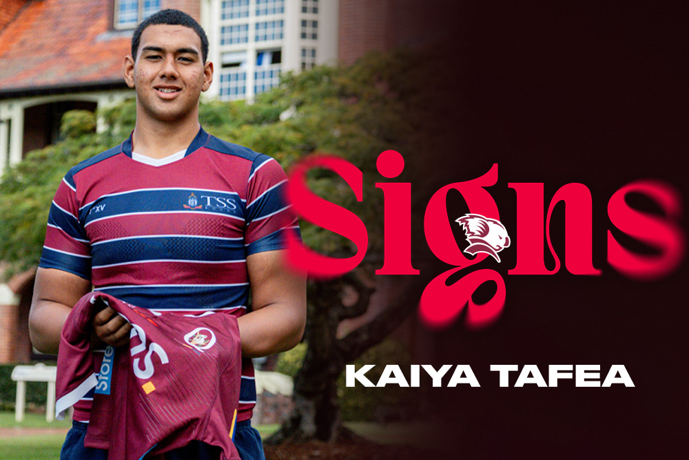 Queensland Reds Rugby