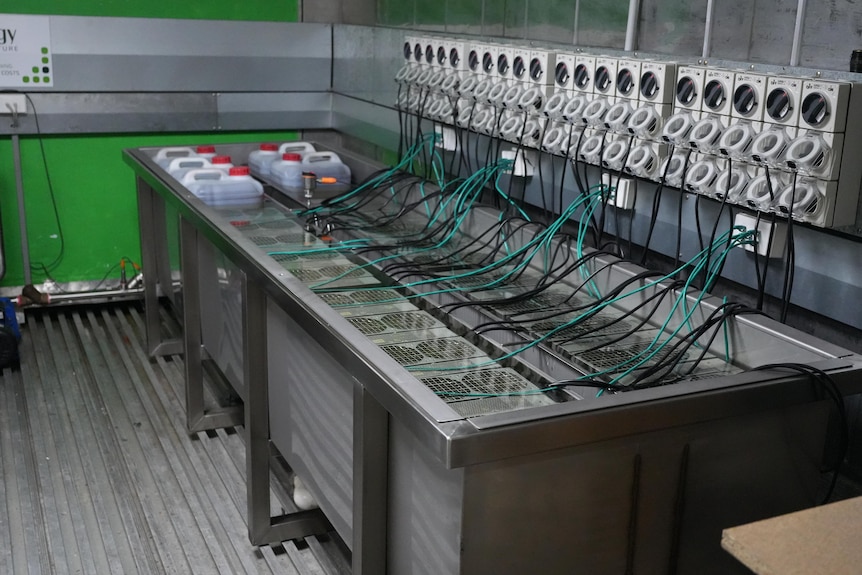 A large metal tub on a metal floor. It contains computer systems which are submerged in a non-conductive liquid.