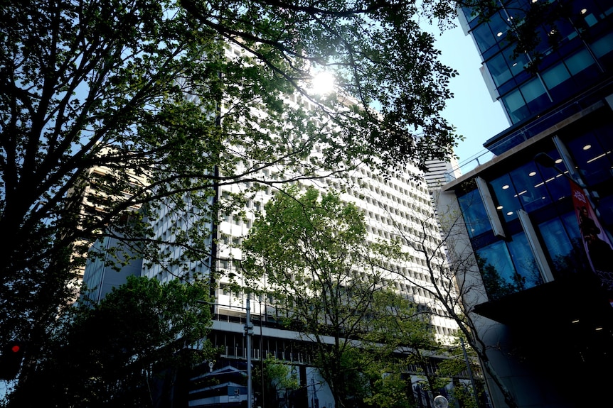 RBA HQ with entrance boarded up due to renovations, viewed through trees