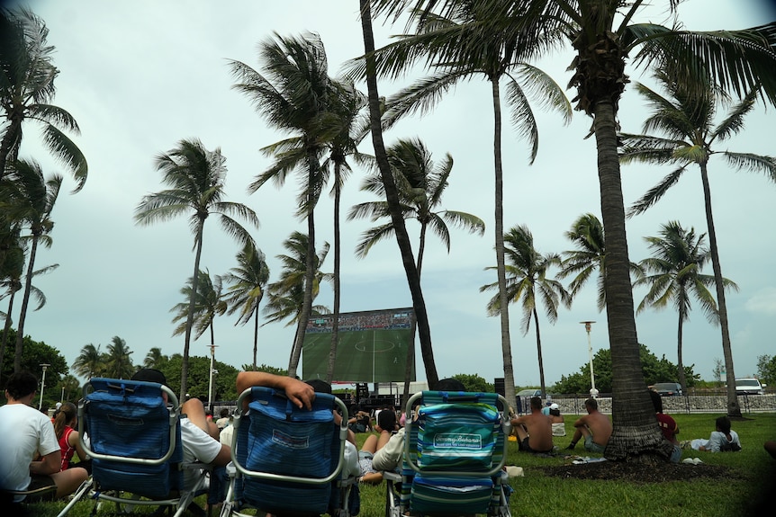 Three people in deck chairs sit and watch a big screen showing a World Cup game, amid palm trees.