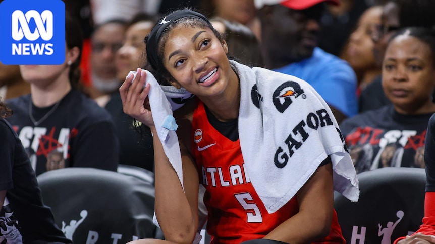 WNBA star Angel Reese accepts Sandy Brondello's apology over 'protected species' comment