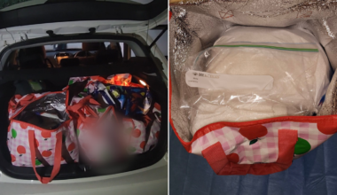 Scottish tourists arrested after alleged drug haul found at North Sydney hotel