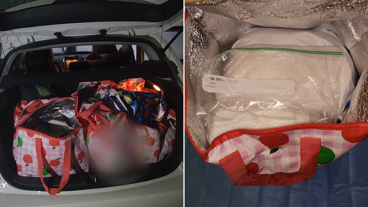 Scottish tourists arrested after alleged drug haul found at North Sydney hotel