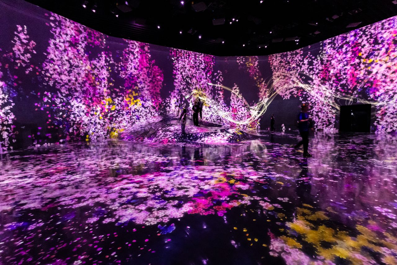 The artwork “Flowers and People” moves through the space of the “Universe of Water Particles,” while the crow’s flight traces patterns on the wall. (© Nippon.com)