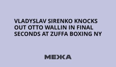 Vladyslav Sirenko knocks out Otto Wallin in final seconds at Zuffa Boxing NY | Ukraine news