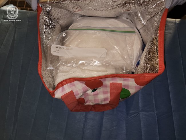 The pair are accused of flying into Australia for the ‘sole purpose’ of supplying drugs.