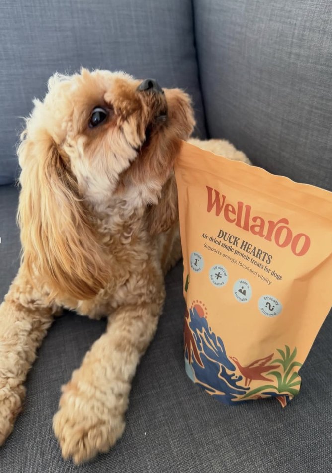 Wellaroo Duck Hearts.
