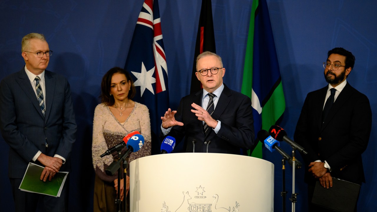 ‘No place in Australia’: Anthony Albanese rejects Pauline Hanson’s Islam claims, backing national response to rising hate