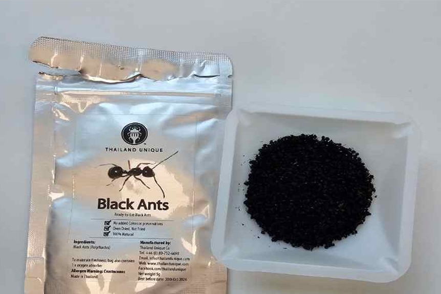 A silver bag full of black ants.