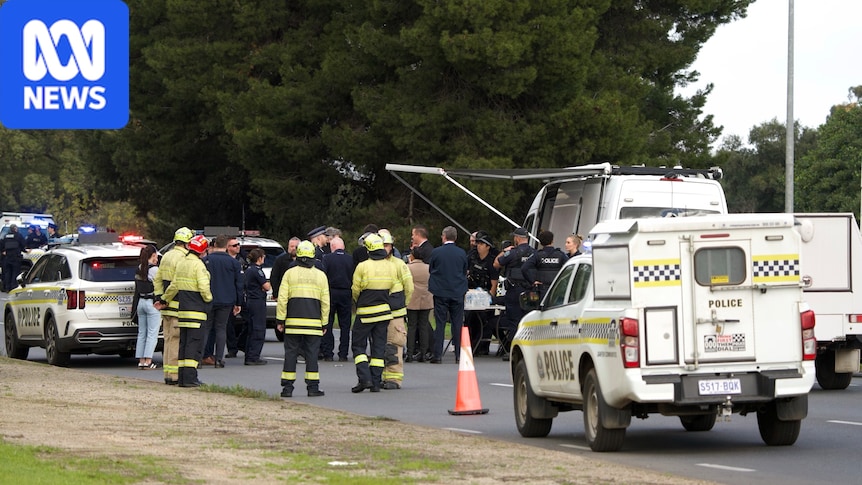 Police officer stabbed in neck, alleged attacker shot in leg in Adelaide's north