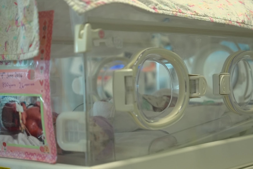 a tiny baby inside a crib in the NICU of King Edward Memorial Hospital