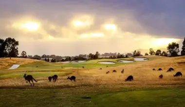 Top 100 Spotlight: Eastern Golf Club – Australian Golf Digest