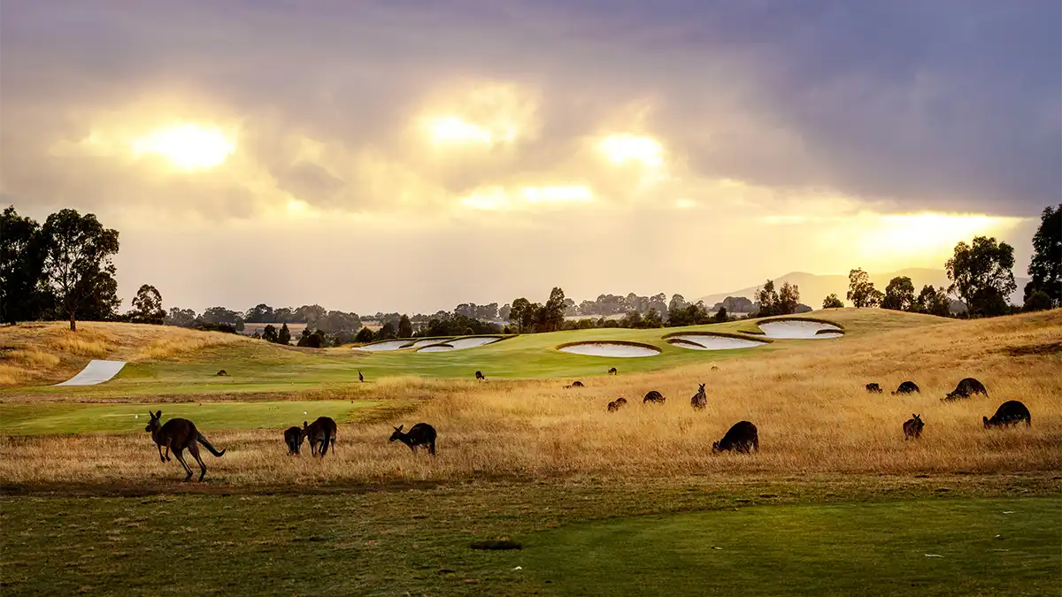 Top 100 Spotlight: Eastern Golf Club – Australian Golf Digest