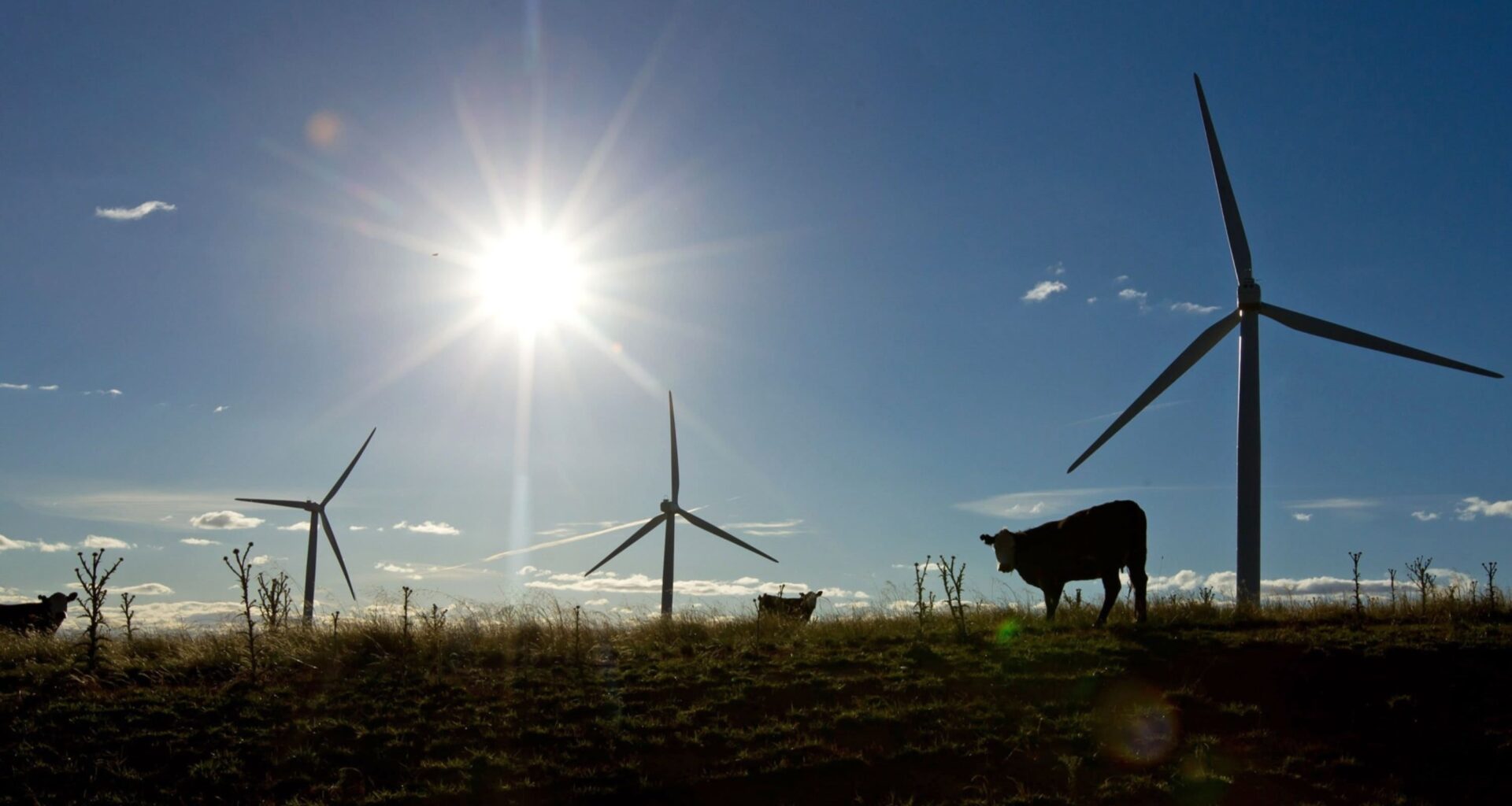 Australian supers say green taxonomy enhances investment