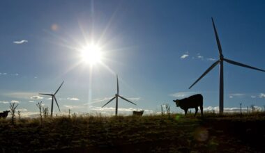Australian supers say green taxonomy enhances investment