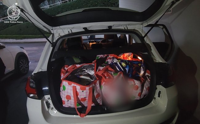 Two Scottish nationals are before the courts after an alleged 100kg haul of ketamine in the boot of a car parked at a North Sydney hotel