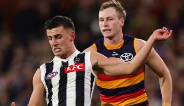 AFL 2026, Adelaide Crows vs Collingwood Magpies, Round 20 live updates and scores