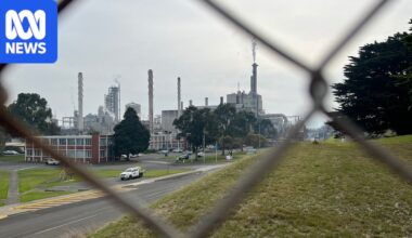 Maryvale paper mill cuts 84 jobs, blaming Victorian government for lack of timber