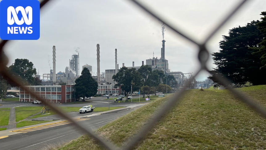 Maryvale paper mill cuts 84 jobs, blaming Victorian government for lack of timber