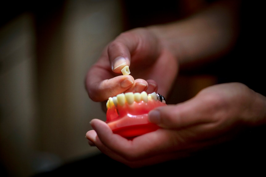 A closeup of hands holding a tiny tooth raised from a plastic model jaw under harsh spot lighting with a dark background.
