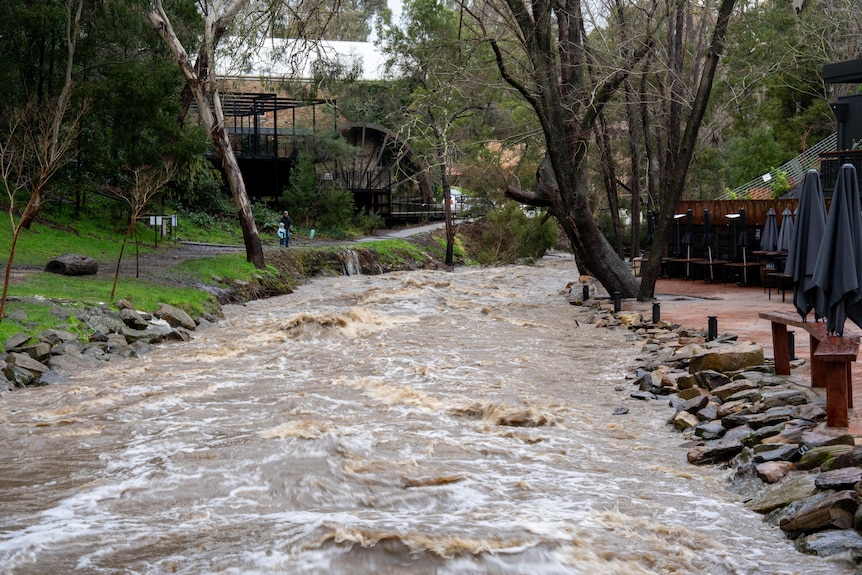 Full creek next to the Bridgewater Inn due to excessive rainfall.
