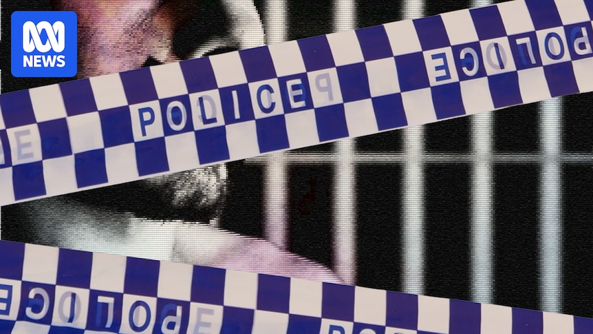 Extraordinary internal police emails revealed after Indigenous man allegedly beaten by officer