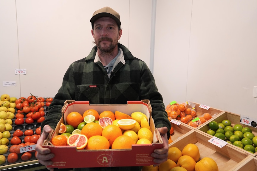 A fair-skinned man in baseball hat and checked shirt holds a box of citrus fruit.