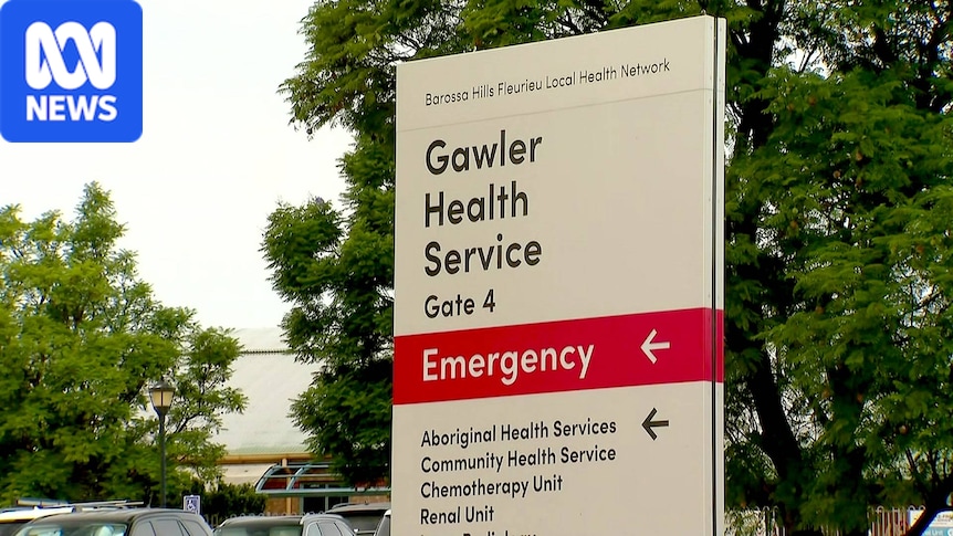 Doctors' union raises behavioural concerns about nurses' conduct at SA health service